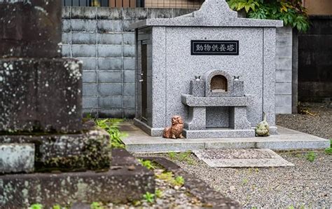 動物埋葬方法|ペットの埋葬方法｜土葬・納骨・埋骨の違いと後々困 